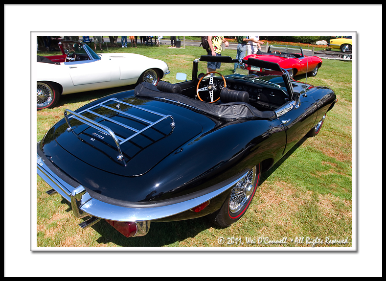 E-Type Jaguars