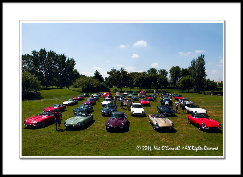 40 E-Type Jaguars