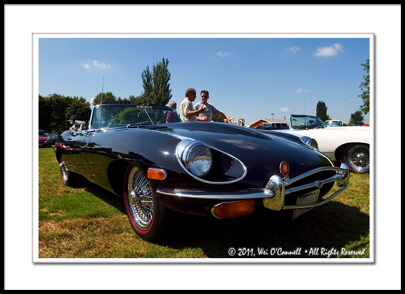 E-Type Jaguars