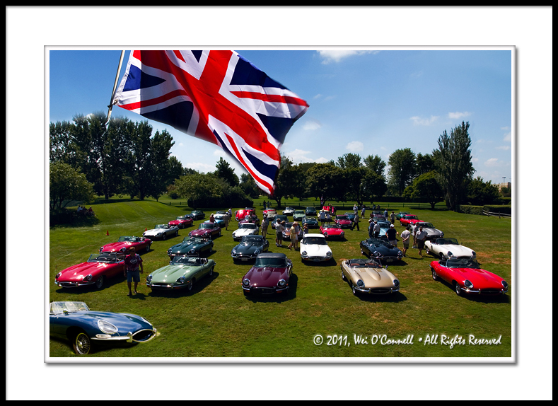 E-Type Jaguars