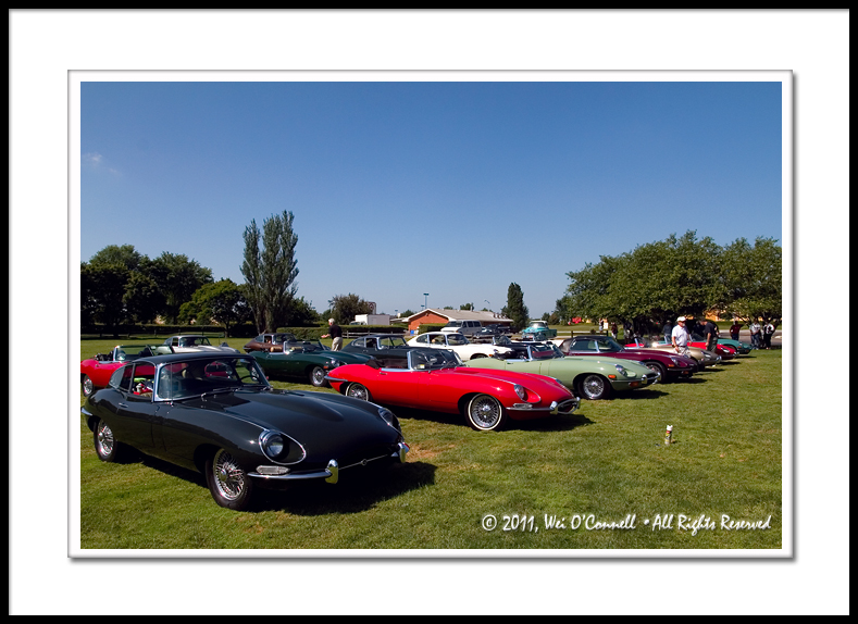 E-Type Jaguars