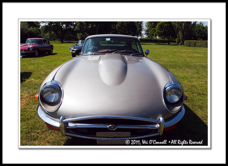 E-Type Jaguars