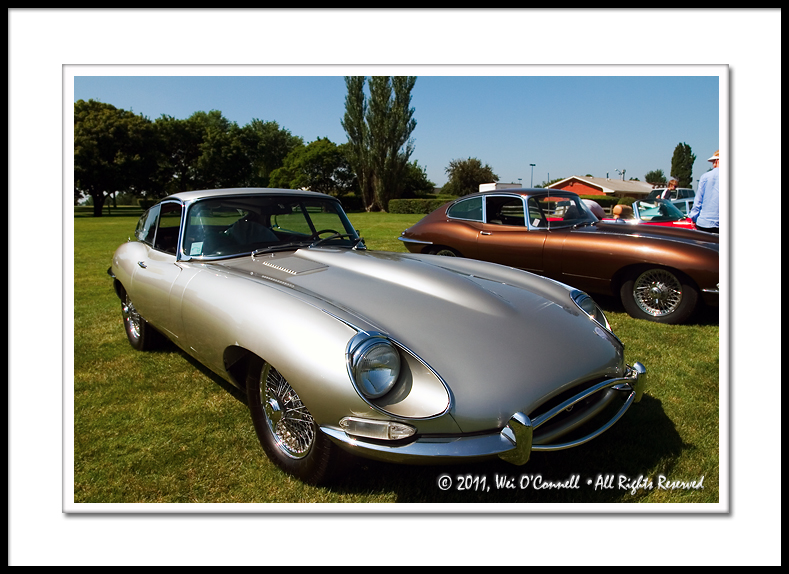 E-Type Jaguars