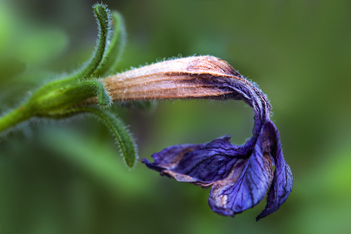 Weekly Challenge #117: 1,2,3 and Triptych 