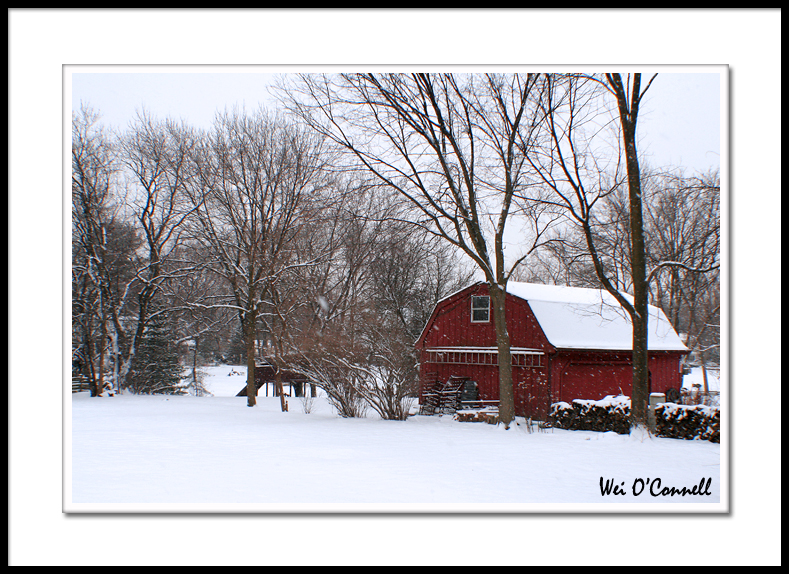 Thursday Challenge: Seeing Red