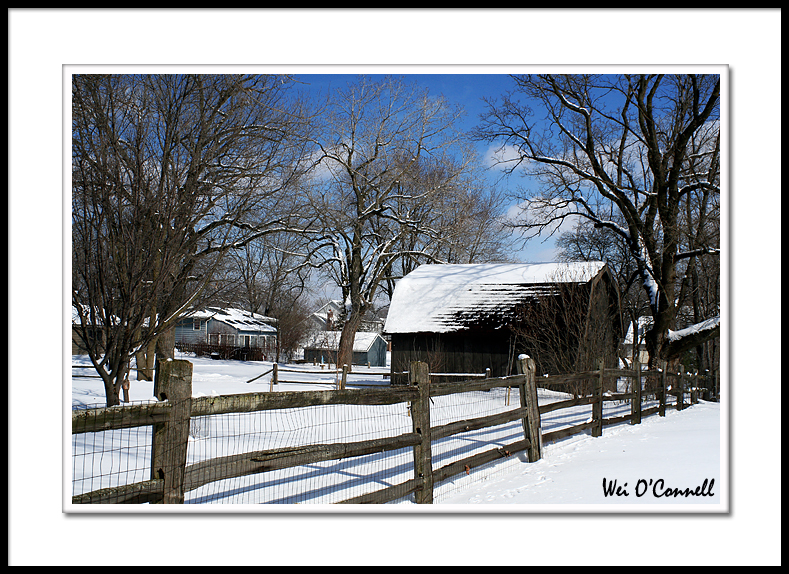 Neighbors Old Barn