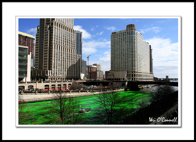 Dyeing the Chicago River