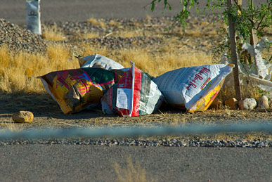 DSC_4849R10.jpg