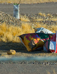 DSC_4855R10Crop2.jpg