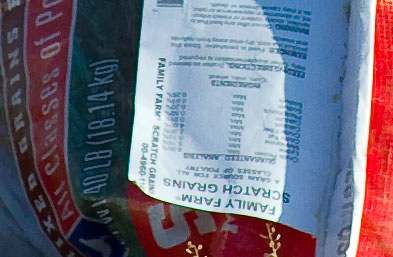 DSC_4855Cropped.jpg