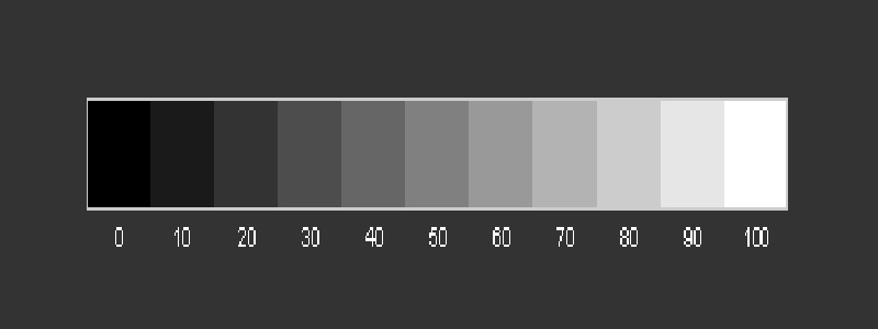 Gray Scale Monitor Test