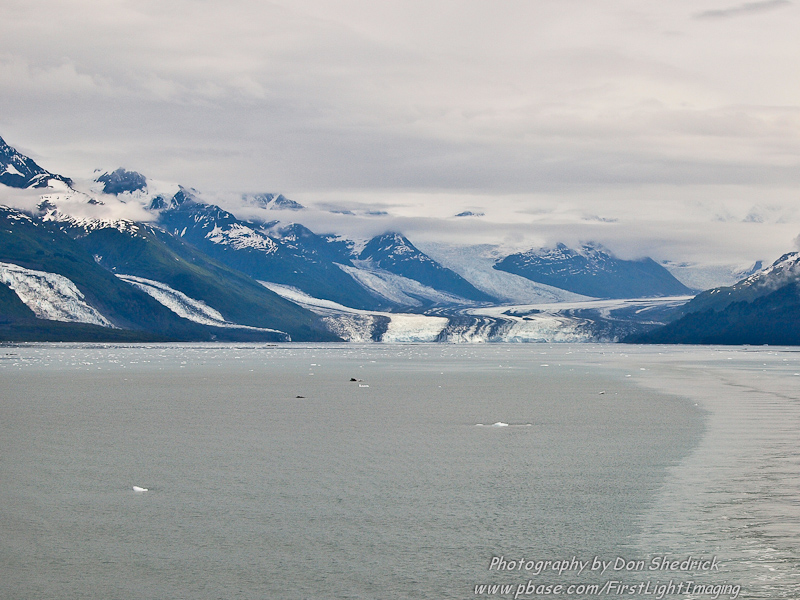 Crusing College Fjord