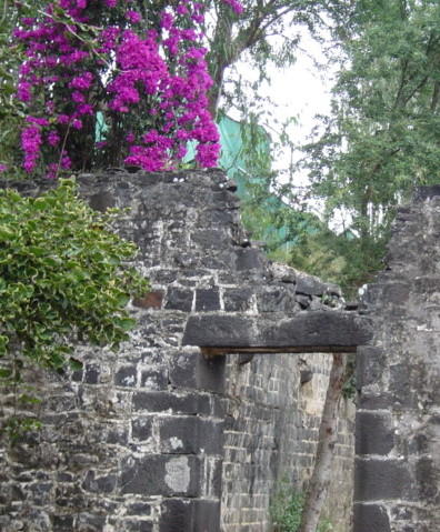 DSC01305.JPG