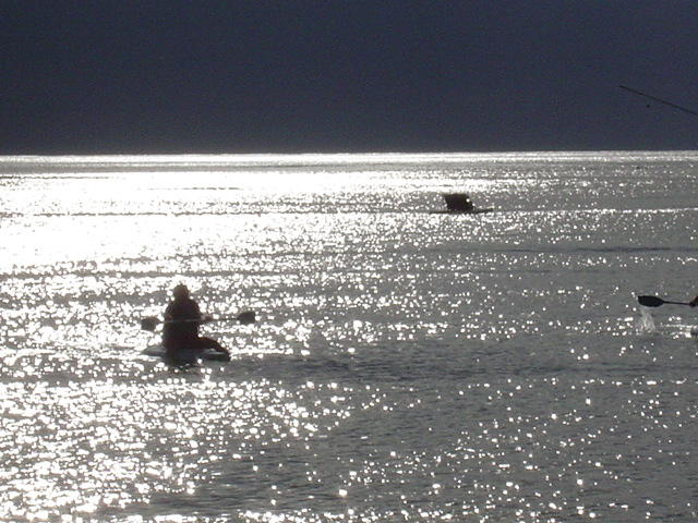 DSC01413.JPG
