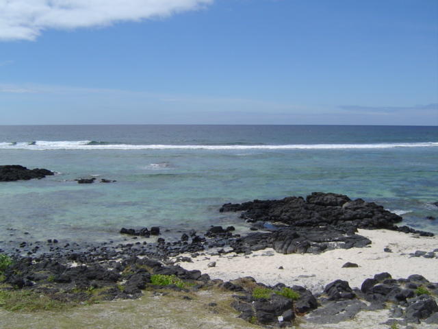 DSC01451.JPG