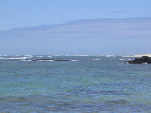 DSC01455.JPG