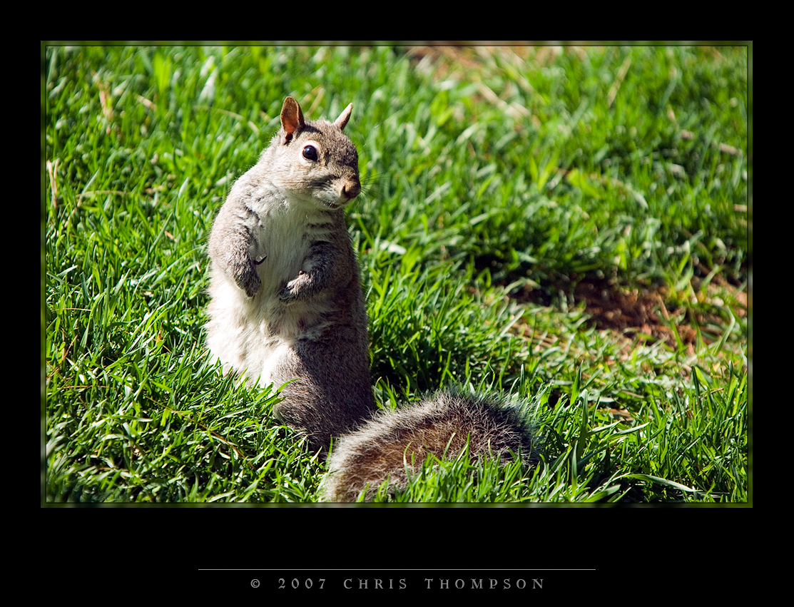 IMGP1696 copy.jpg