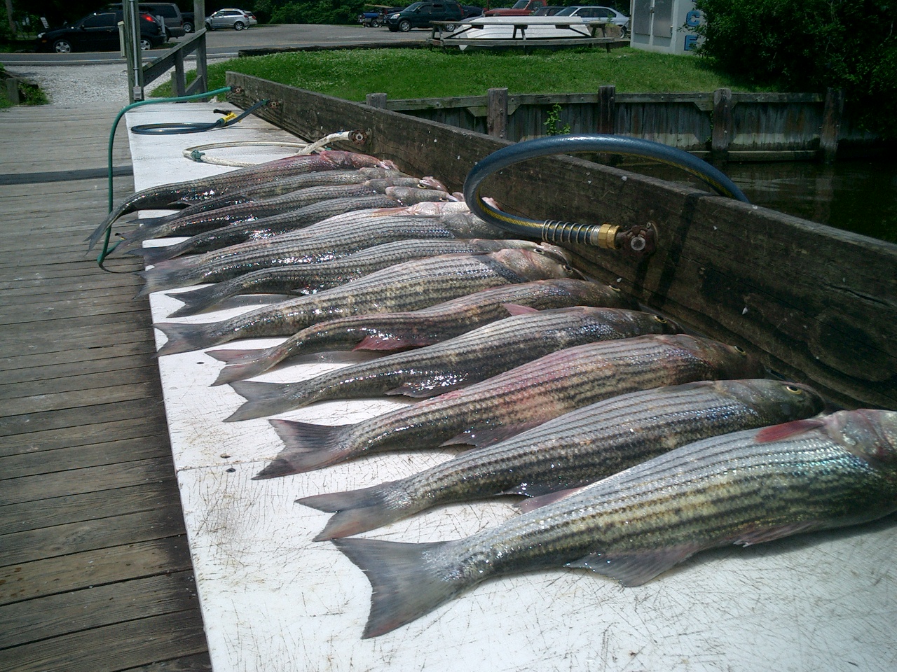 fishing trip 6-8-09 004.jpg