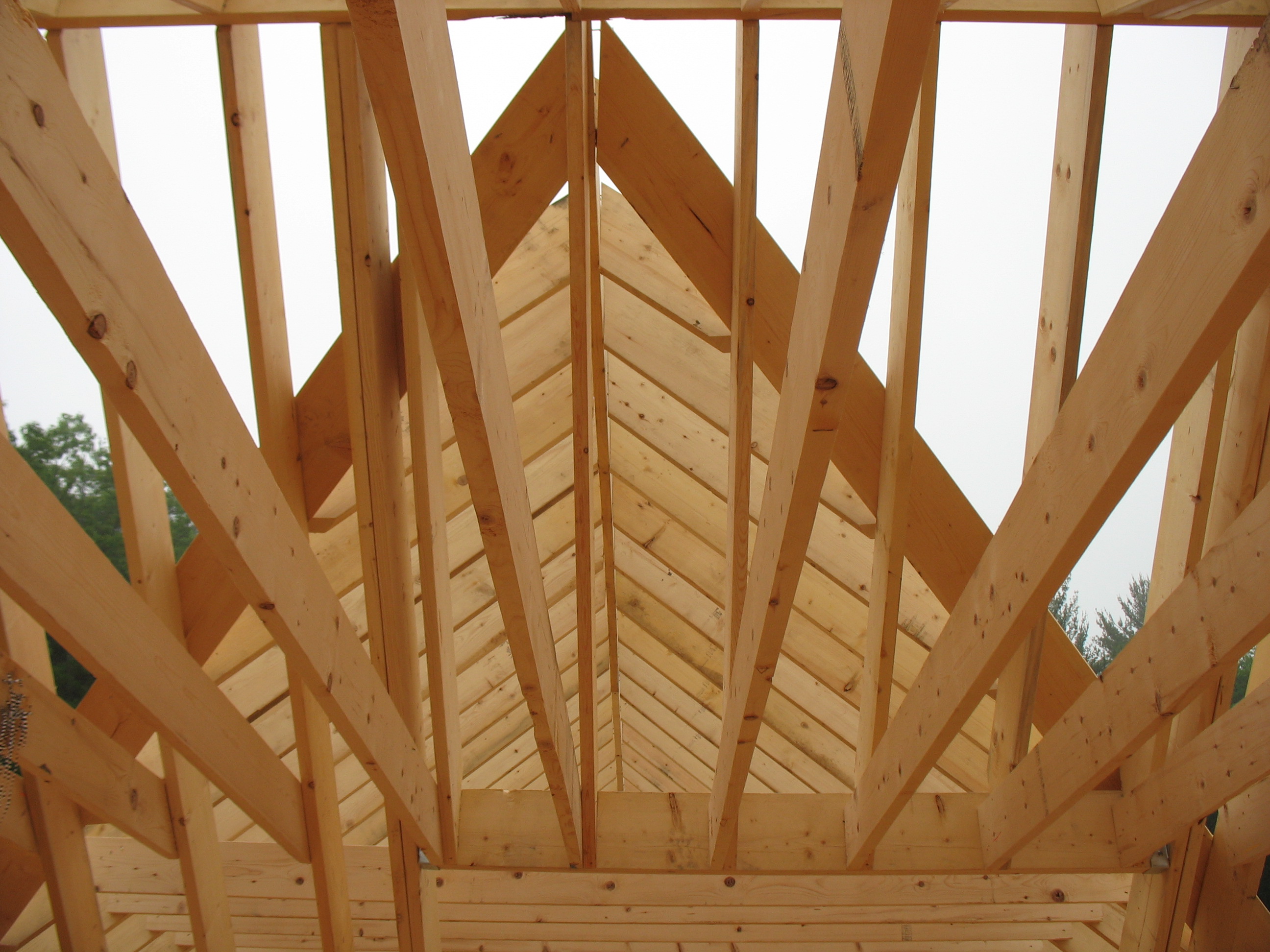 excersize room roof framing