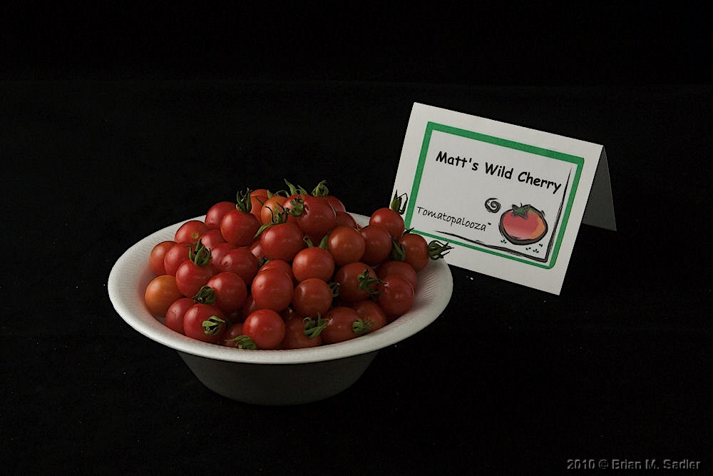 Matts Wild Cherry.jpg