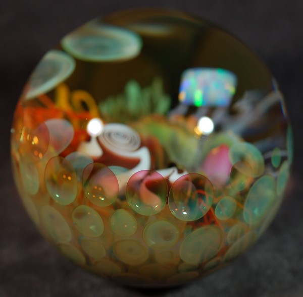 Fruit Loop 45mm nfs