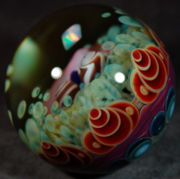 Brain Feeder 50mm sold