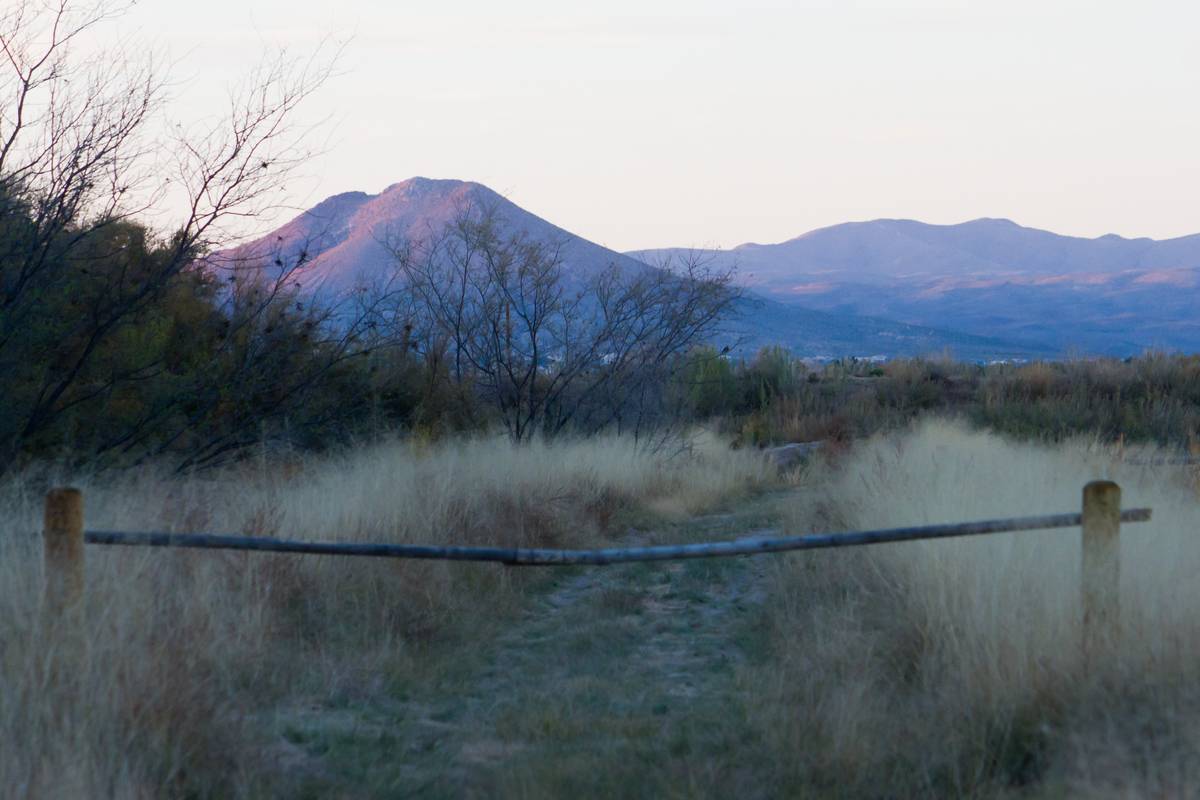 Picacho Peak from Mesilla Bosque