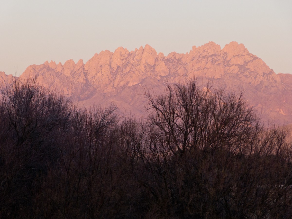 Organ Mountains from arroyo adjacent to park