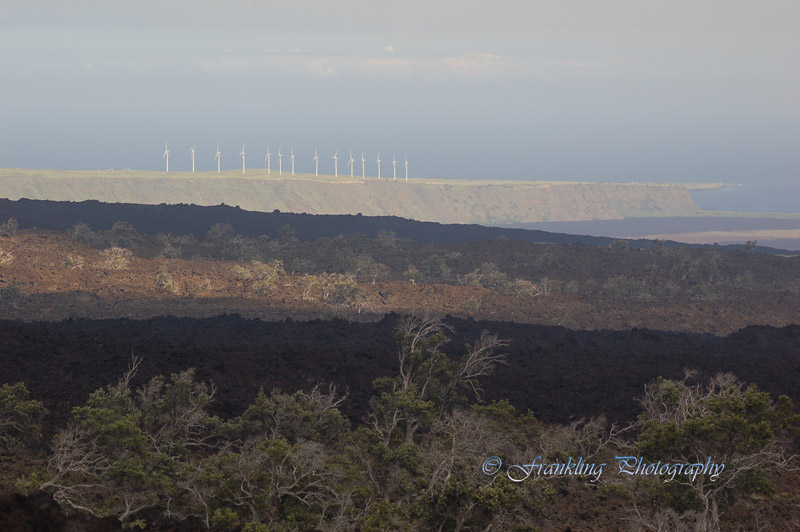 Hawaii4hcs0040.jpg