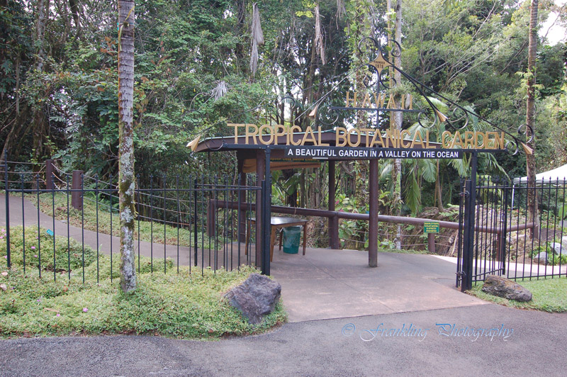 Hawaii5hcs0018.jpg