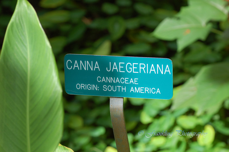 Hawaii5hcs0026.jpg
