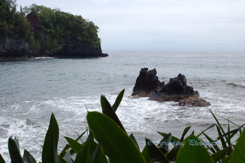 Hawaii5hcs0041.jpg