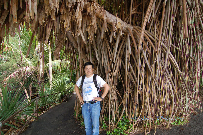 Hawaii5hcs0045.jpg