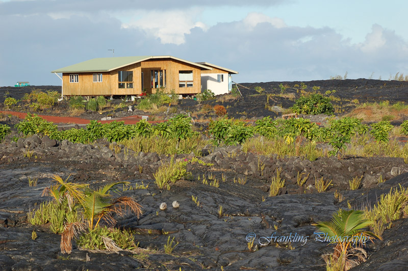 Hawaii5hcs0086.jpg
