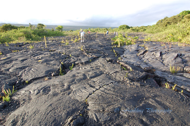 Hawaii5hcs0100.jpg