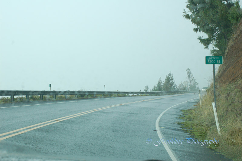 Hawaii2hcs0030.jpg