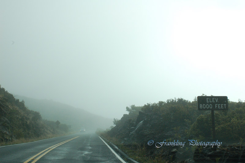 Hawaii2hcs0037.jpg