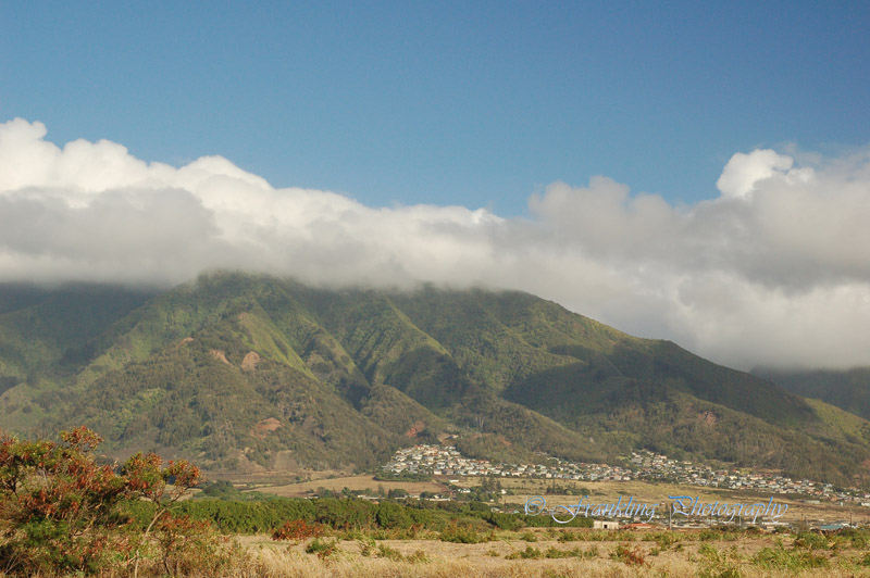 Hawaii3hcs0006.jpg