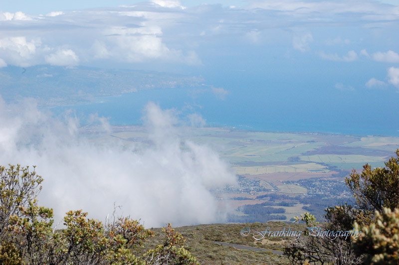 Hawaii3hcs0016.jpg