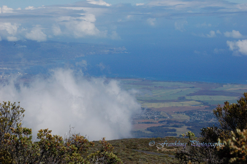 Hawaii3hcs0018.jpg