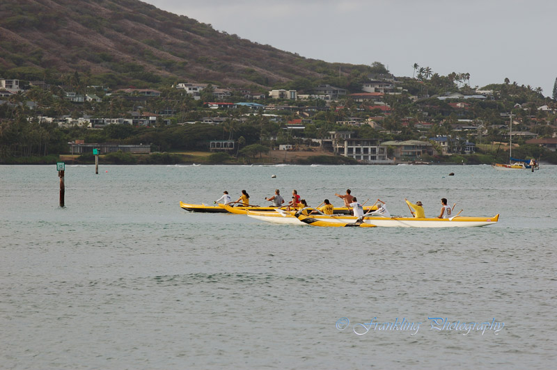 Hawaii1Cs0007.jpg