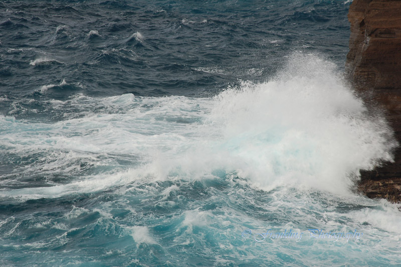 Hawaii1Cs0020.jpg
