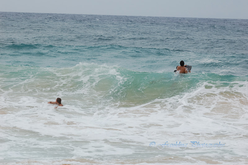 Hawaii1Cs0027.jpg