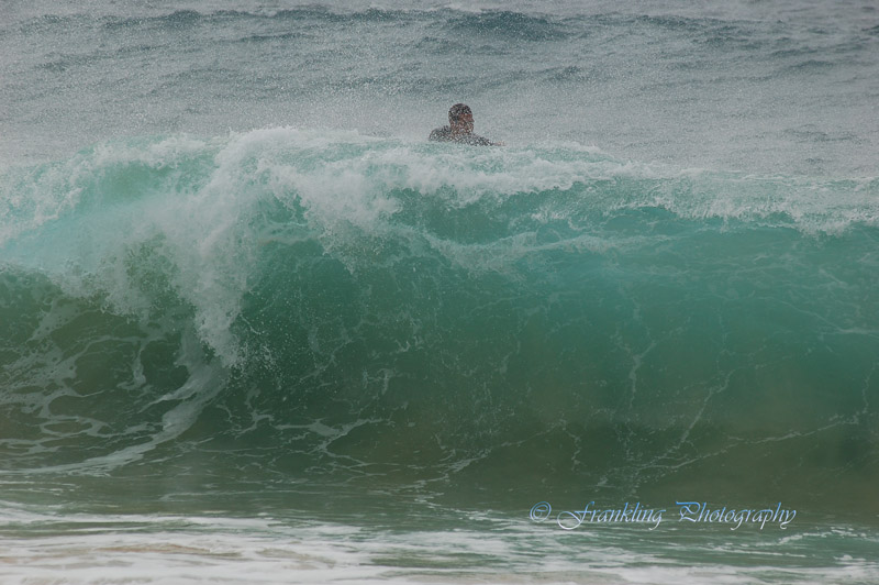 Hawaii1Cs0043.jpg