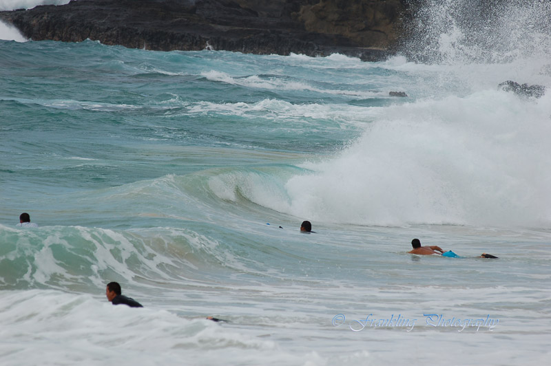 Hawaii1Cs0045.jpg