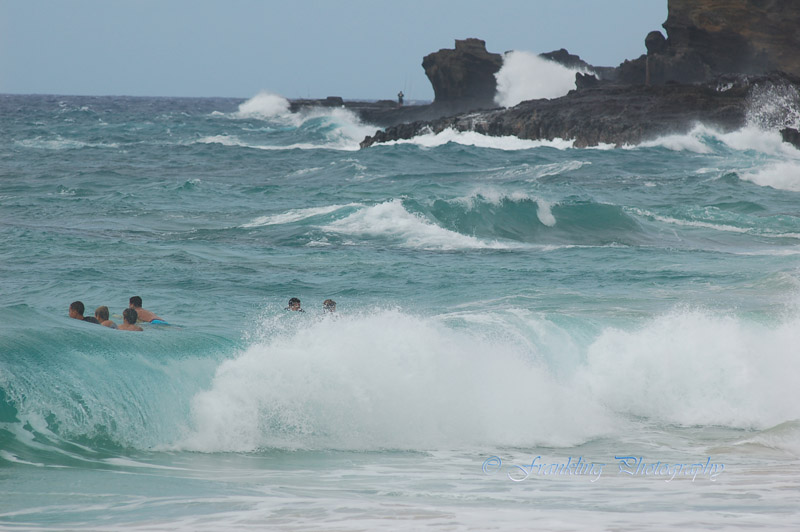 Hawaii1Cs0047.jpg