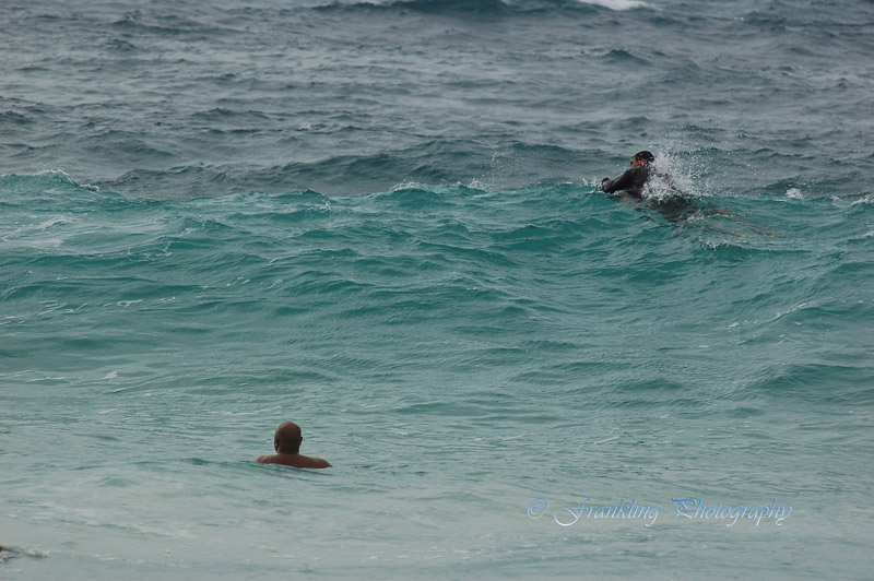 Hawaii1Cs0049.jpg