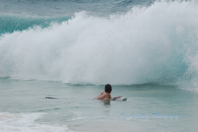 Hawaii1Cs0051.jpg