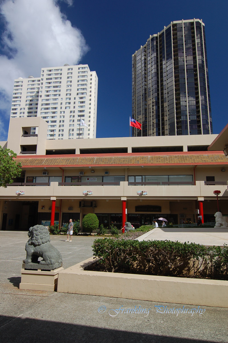 Hawaii1vcs0010.jpg