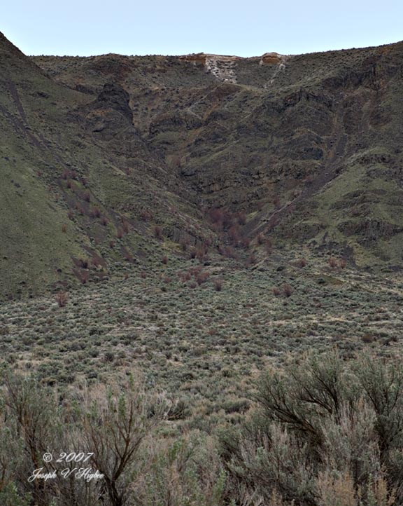 Shrub-steppe on north slope Saddle Mountains